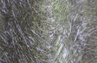 Herstmonceux fibreglass roof work